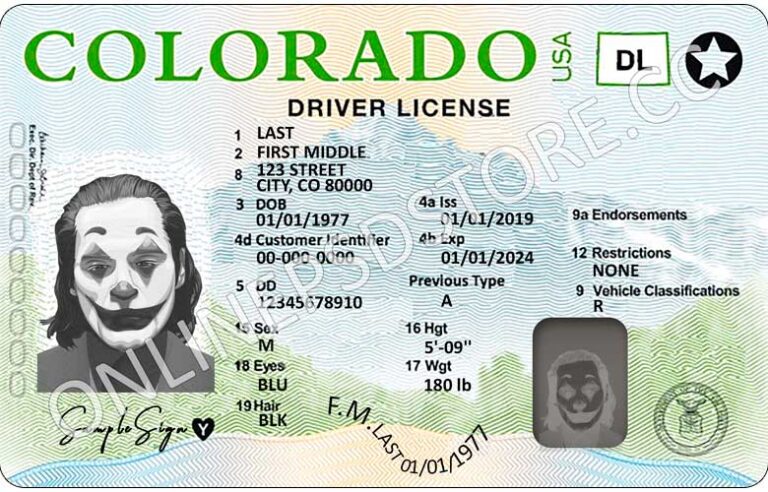 Free Drivers License Templates Psd