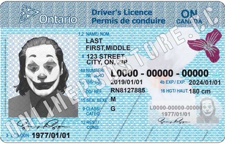 drivers license psd download