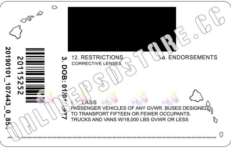 hawaii drivers license template free download